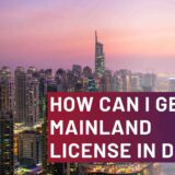 Mainland license in Dubai 2023
